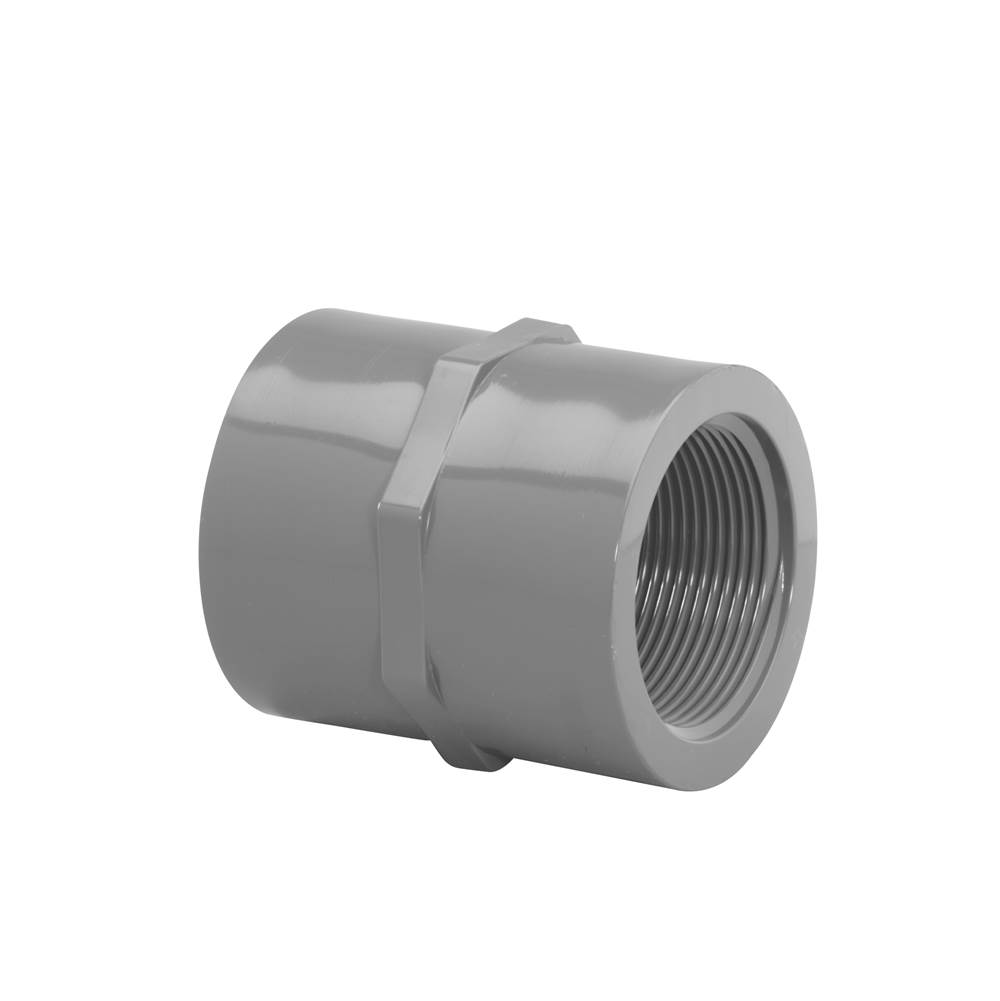 Westlake Pipes & Fittings 4 Fpt X Fpt Coupling