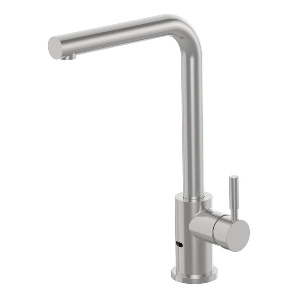 Symmons DS Creations Kitchen Faucet