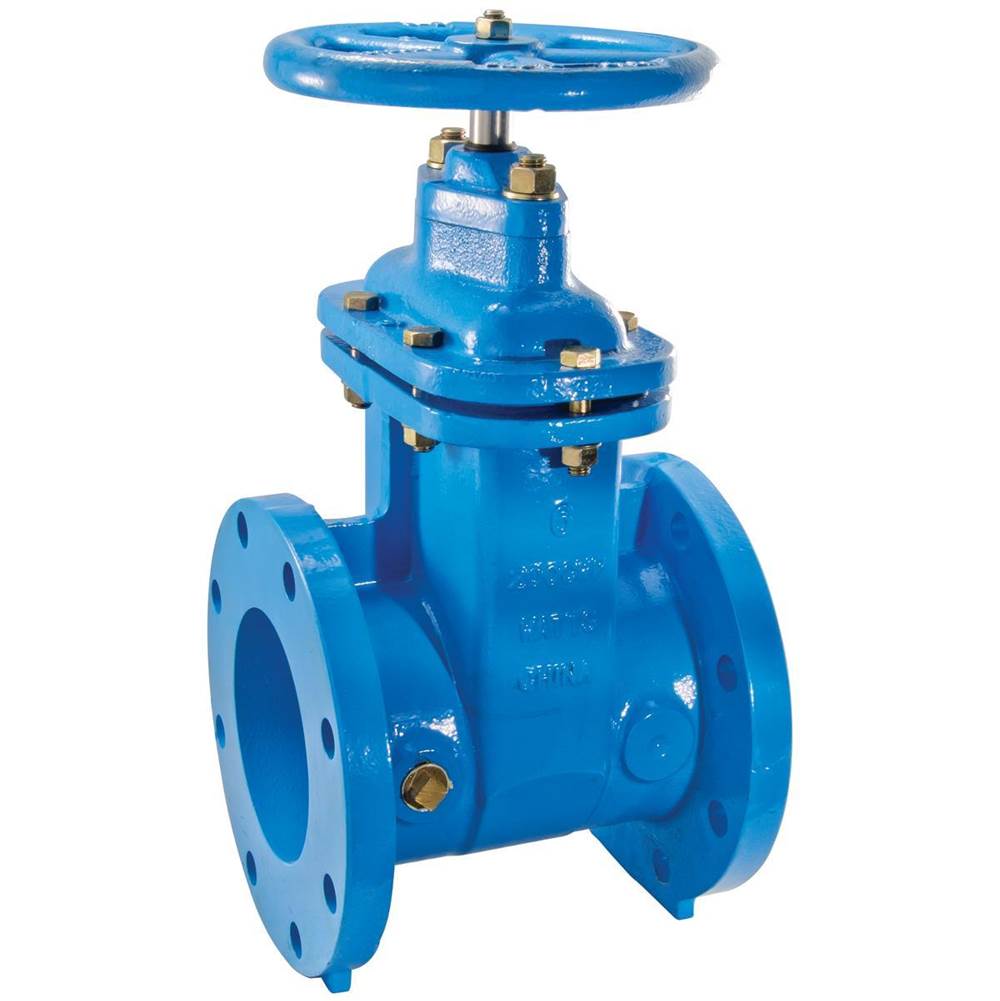 Watts 10 In Resilient Wedge Gate Valve